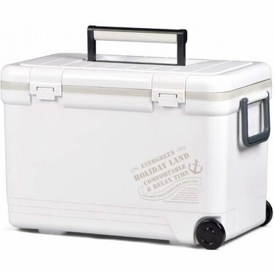 伸和 ホリデークーラー27H ホワイト 27L AKC6301