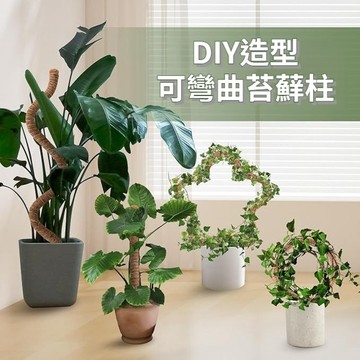 【創意園藝】植物攀爬杆/椰棕棒/苔蘚柱 彎曲造型 攀爬支架