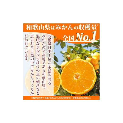 ふるさと納税 和歌山県 湯浅町 EA6036n_濃厚な味わいのこだわり 有田みかん 10kg (早生みかん・大小混合)