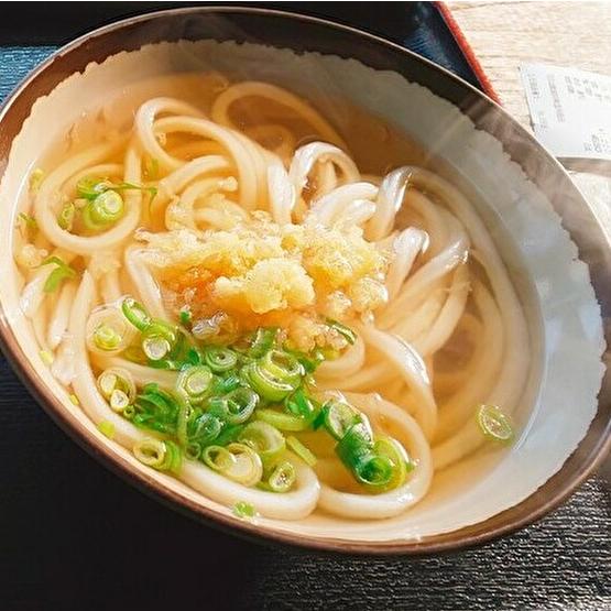 香川県産　讃岐うどん（A4パネル付）