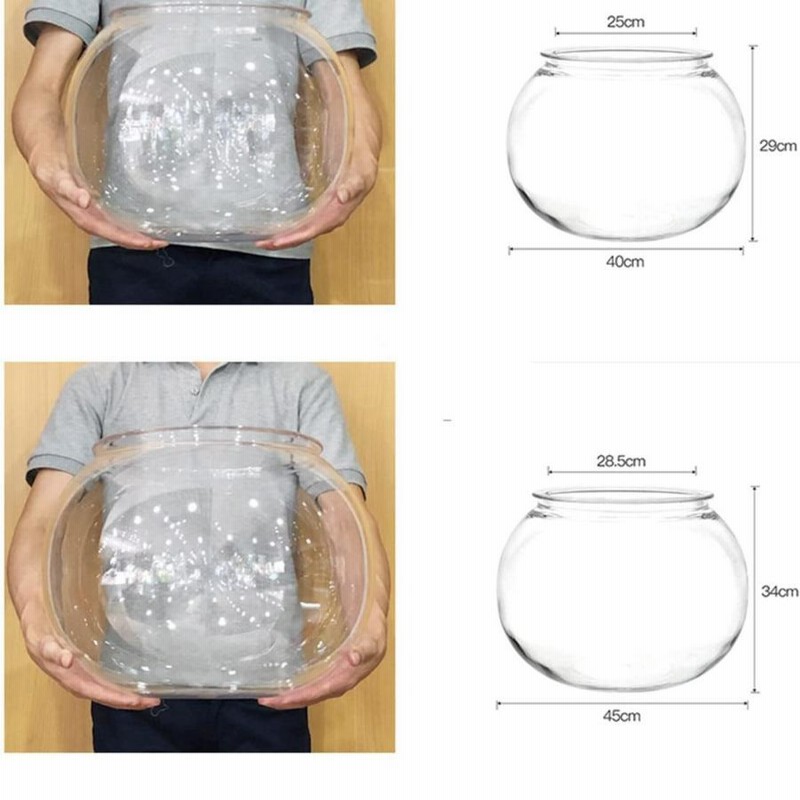 根茎入り透明液体容器 約25cm