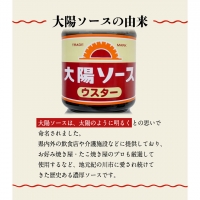 昔懐かし大陽とんかつソース1000ml×6本セット 深瀬昌洋商店 《90日以内に順次出荷(土日祝除く)》 和歌山県 紀の川市