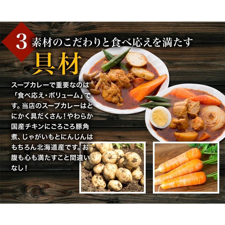 札幌 スープカレー 選べる 4食セット 送料無料   チキン 豚角煮 2種類 北海道 スパイス レトルト