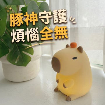 [窩在家] 好運水豚創意小夜燈 卡皮巴拉 🎂 生日禮物｜小夜燈｜床頭燈｜開運納福｜療癒｜升遷升職｜喬遷｜開業開店｜同事｜獅子座｜七夕禮物｜禮盒