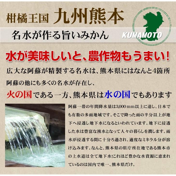 みかん 熊本みかん 1kg ご家庭用 熊本産 送料無料 2セット目から増量あり S〜2L混合 増量特典 ポイント消化 フルーツ 果物 国華園