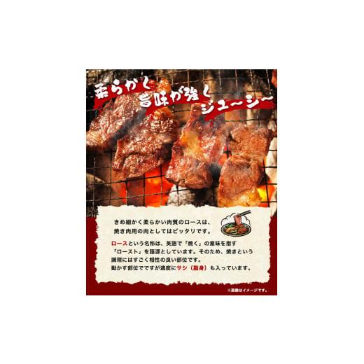 ふるさと納税 和歌山県 岩出市 「熊野牛」特選ロース焼肉800g 4等級以上 株式会社松源《30日以内に順次出荷(土日祝除く)》和歌山県 岩出市