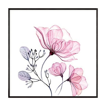 花香粉調 掛畫  60 x 60cm  黑色框