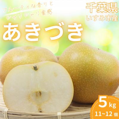 ふるさと納税 いすみ市 いすみ市産あきづき梨　約5kg(11〜12個)