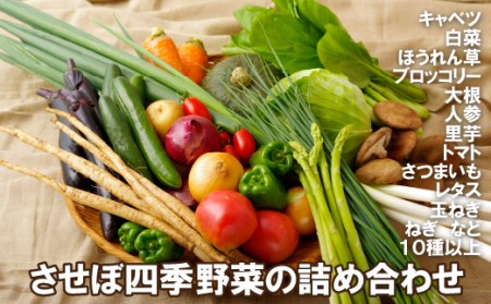 させぼ四季野菜の詰め合わせ