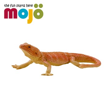 Mojo Fun動物模型-鬃獅蜥/公仔/動物/模型/玩具