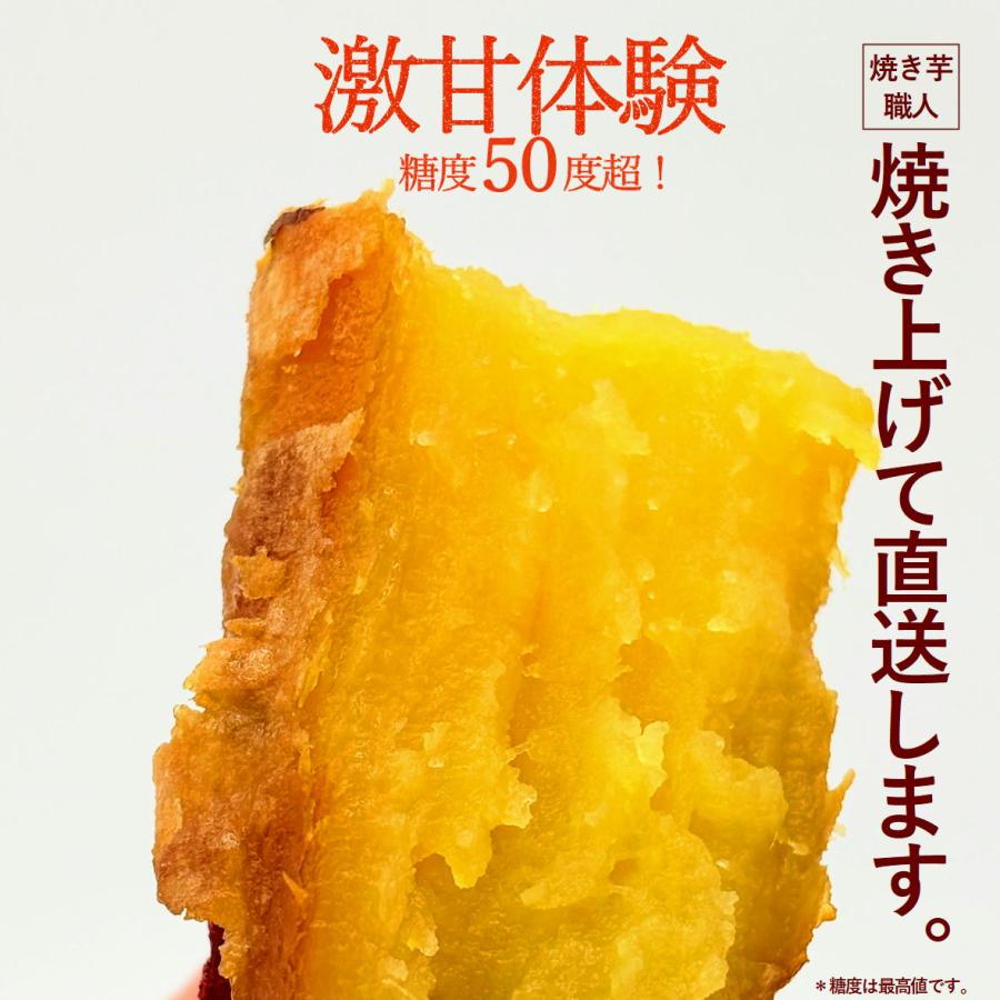 シルクスイート500g 紅はるか500g 食べ比べセット  さつまいも サツマイモ  「森の絹」  甘すぎて研究対象になった ブランド 熟成 蜜芋