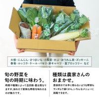 福元農園 旬のお野菜 おまかせセット 1箱（5～8品目）