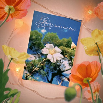 Daily Garden have a nice day 外星人遊台灣明信片/貓空扶桑花