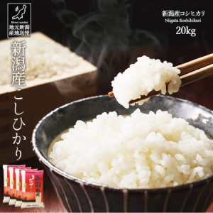 米 お米 20kg 安い 送料無料 新米 令和5年産 新潟産 新潟県産 コシヒカリ こしひかり 白米 ギフト 贈答 お歳暮 お中元 父の日 母の日 敬