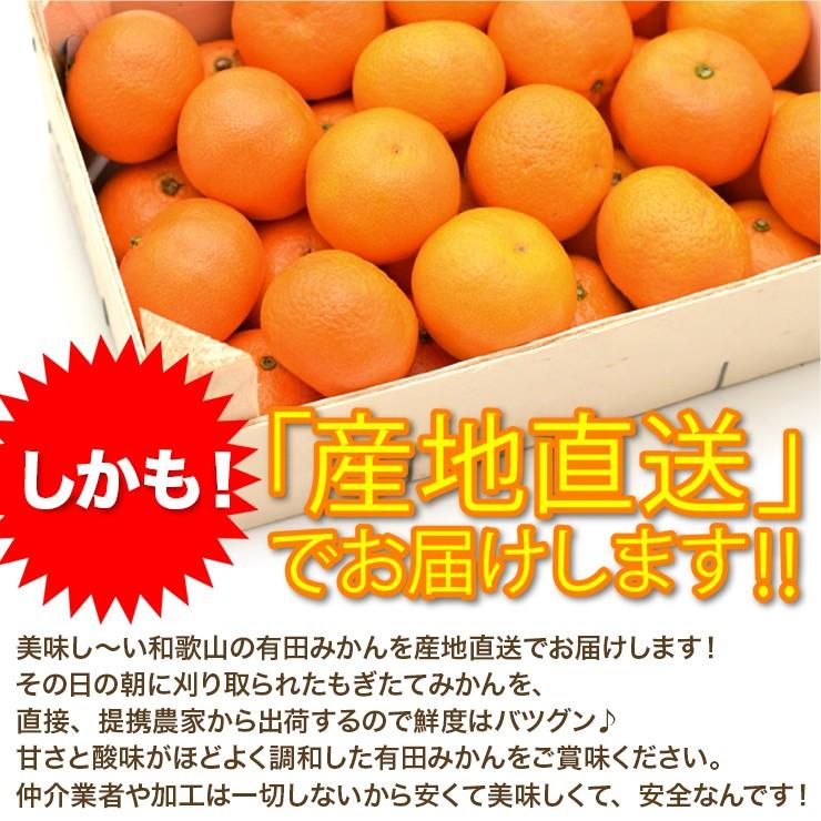 みかん 3kg 有田みかん 和歌山みかん ミカン 秀品 蜜柑 高級みかん 送料無料 和歌山県 有田みかん 2Lサイズ 箱買い 糖度 3キロ