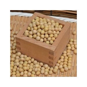 北海道産 鶴の子大豆中粒大豆 令和4年産 北海道産大豆 お味噌作りに最適