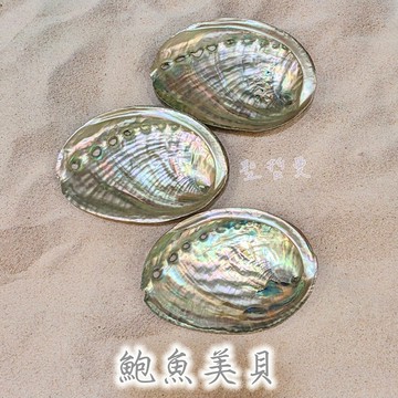 鮑魚美貝(微拋光) 鮑魚貝 鮑魚貝殼 ~可用來燒白鼠尾草或放置您的水晶及寶貝們