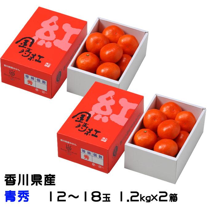 お歳暮 みかん 金時紅みかん 1.2kg×2箱 青秀 12〜18玉 香川県産 ミカン 蜜柑 ギフト お取り寄せ