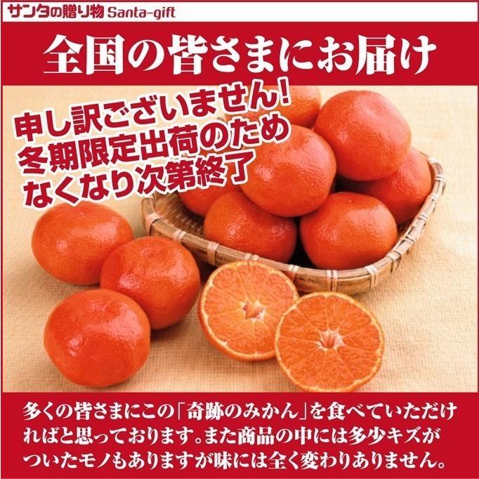 小原紅 みかん S-2Lサイズ お試し 約2.5kg 香川県 奇跡のみかん 小原紅早生金時みかん 紅くて 甘い