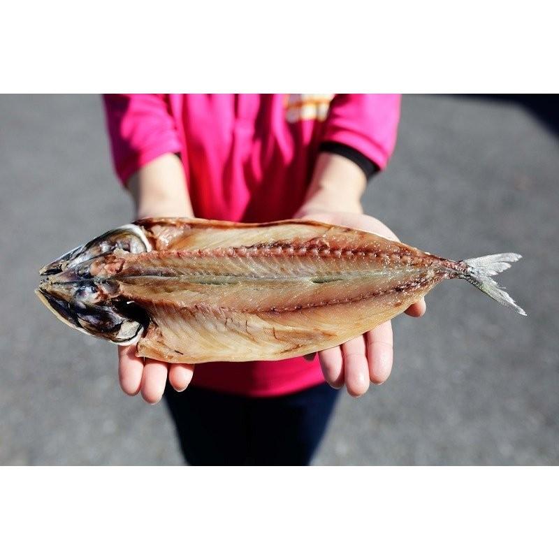 干物 詰め合わせ 5枚 若潮 干物セット 鯵 アジ サバ 真ほっけ マホッケ 金目鯛 キンメダイ お歳暮 ギフト 御歳暮