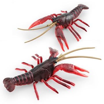 🌈「探夢動物模型」仿真野生海洋生物龍蝦模型兒童科教認知小龍蝦紅螯蝦擺件玩具