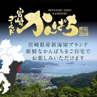 宮崎産 新海屋 鰤屋金太郎 宮崎ゴールドカンパチ フィレ 1.1kg～1.3kg 1匹 ２枚　冷蔵　C315_1