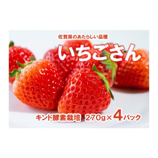 ふるさと納税 佐賀県 みやき町 AE025_あま〜い！！キンド酵素栽培いちご数量限定！！