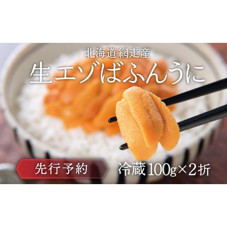 ふるさと納税 網走産 生エゾばふんうに 冷蔵100g×2折（2024年3月から7月の期間に発送予定） ABC009 北海道網走市