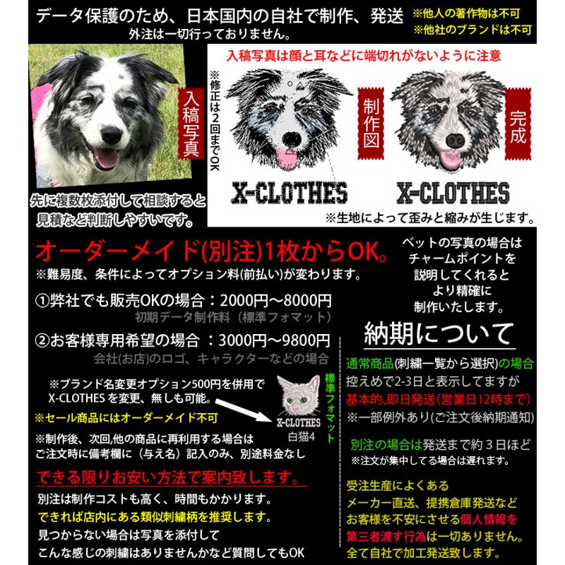 マルチーズ♡オーダーパネル マルチーズ【神奈川県・男の子・2025年8月9日・ホワイト