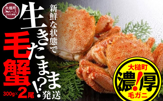 生きたまま発送 三陸産！活 毛ガニセット (300g×2尾)　三陸直送 濃厚 かに 蟹 カニ 毛ガニ 毛蟹 毛がに