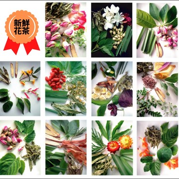 【億明食品】冷凍新鮮花茶包