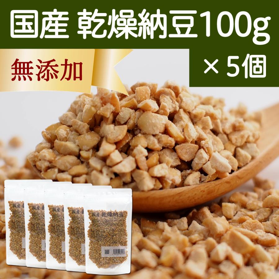 乾燥納豆 100g×5個 ドライ納豆 ひきわり納豆 無添加 犬 国産