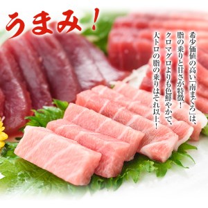 南マグロ味わいセット  南マグロ中トロ約200g 南マグロ赤身約200g