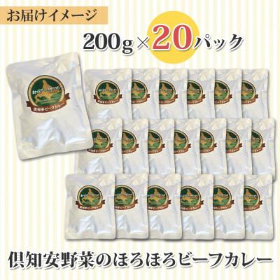 ふるさと納税 倶知安町 倶知安野菜のほろほろビーフカレー 中辛 200g×20個