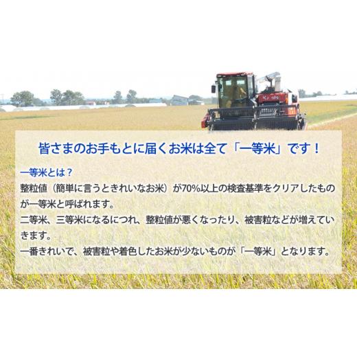 ふるさと納税 北海道 月形町 北海道 定期便 6ヵ月連続6回 令和5年産 ななつぼし 5kg×1袋 特A 米 白米 ご飯 お米 ごはん 国産 ブランド米 おにぎり ふっくら …