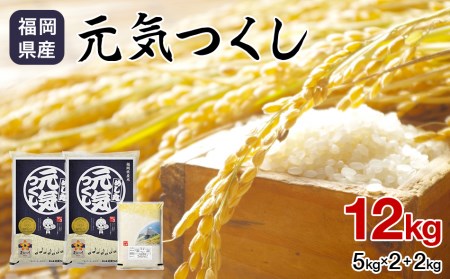 福岡県産　元気つくし　12kg