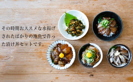 旬 の お魚 漬け丼 お任せ 5種 計5パックセット