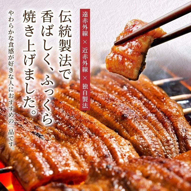 国産うなぎ蒲焼 カット蒲焼き2食セット 鰻 ウナギ 贈り物 ギフト プレゼント 送料無料