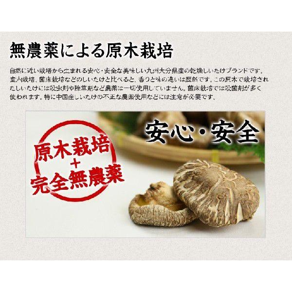 干し椎茸 乾燥椎茸 どんこ 120g 九州大分県産  国産 しいたけ シイタケ 原木栽培 乾燥野菜