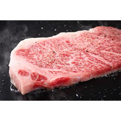 ふるさと納税 大野城市 博多和牛サーロインステーキ　250g[250g×1枚]全12回