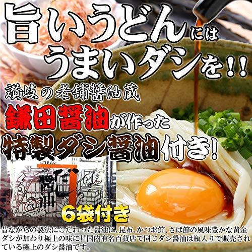 天然生活 讃岐うどん6食分600g (300g×2袋) 鎌田醤油特製ダシ醤油6袋付 香川 本場 生うどん 天然海水塩 SM00010370