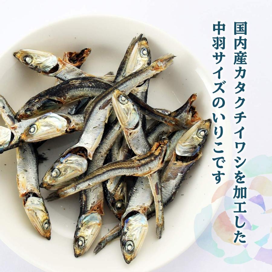 [海幸] 煮干魚類 中羽いりこ 100g×2袋  国内産 いりこ 片口いわし にぼし 煮干し 出汁 おだし