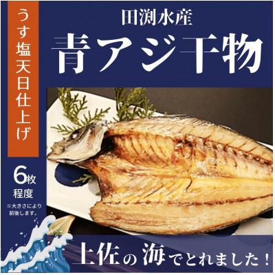 ふるさと納税 安芸市 田渕水産の青アジのひらき