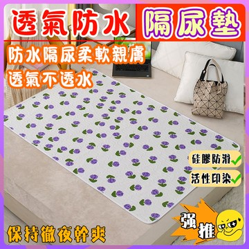 【買一送一】防水隔尿墊 護理墊 姨媽墊 防滑床墊 生理墊 小孩隔尿墊 可機洗 溢奶墊 寵物墊 看護墊 老年人護理墊 尿墊