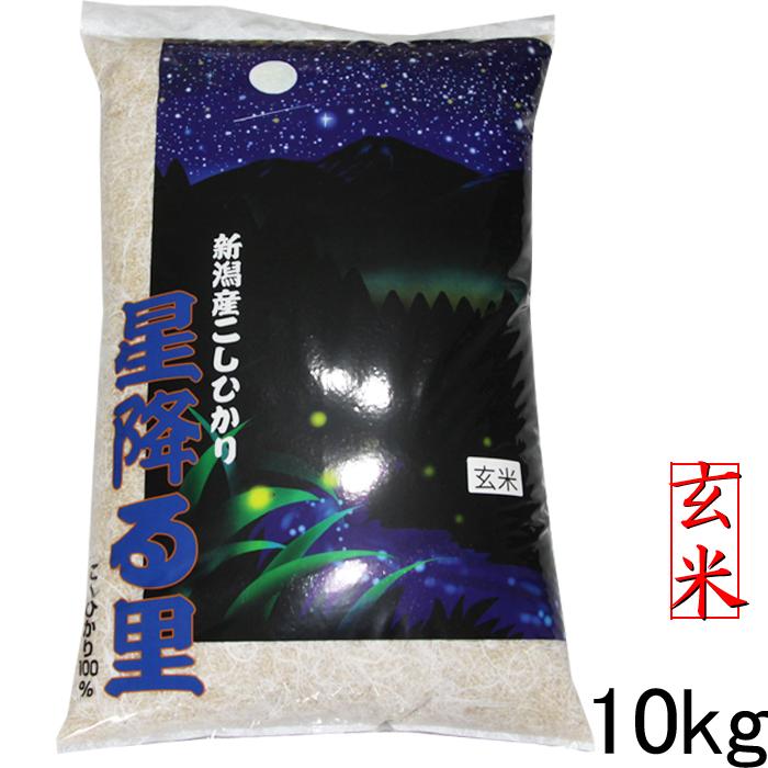 玄米 10kg 新米 令和5年 新潟産 コシヒカリ 玄米 10kg 送料無料 米 お米 10kg 新潟県産 コシヒカリ 10kg 玄米 送料無料 農家直送