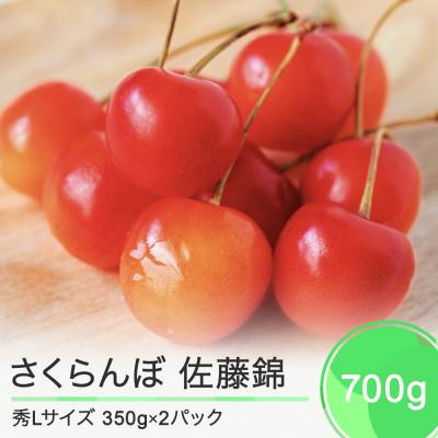 ふるさと納税 大石田町 さくらんぼ 佐藤錦 秀Lサイズ 約700g(350g×2パック) バラ詰め 2024年産 山形県産