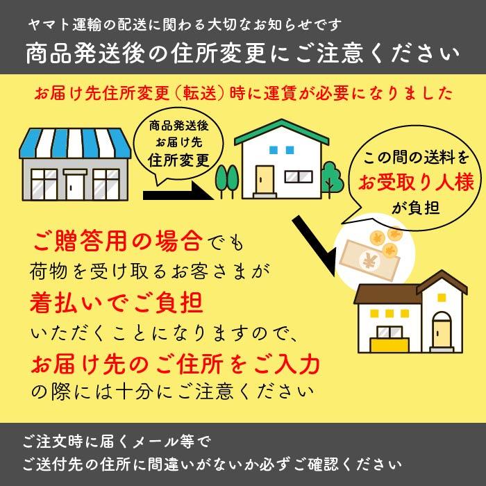 アマノフーズ 味噌汁 送料無料 M-100P フリーズドライ 内祝い お返し ギフト 詰め合わせ