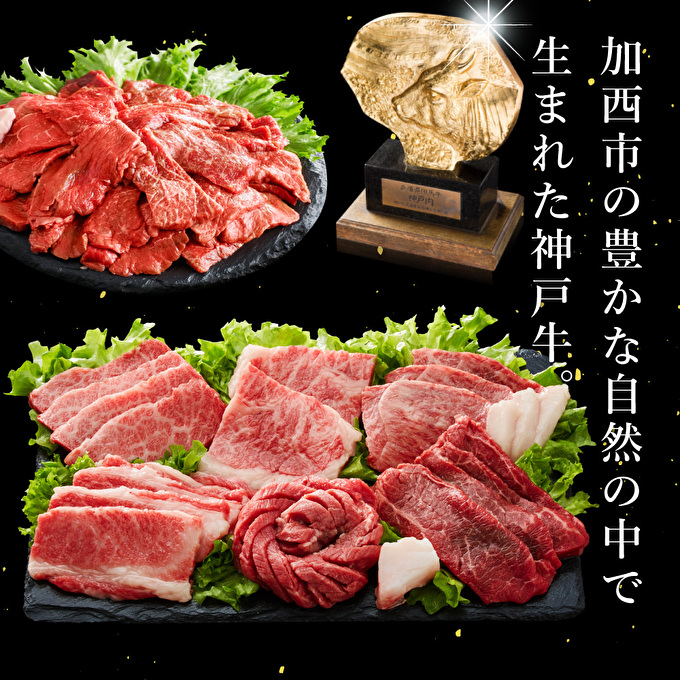 定期便 肉 神戸牛 満足4種全4回 定期便 お肉 牛肉 和牛 すき焼き ステーキ肉 ヒライ牧場 お届け：ご入金の翌月より毎月中旬頃