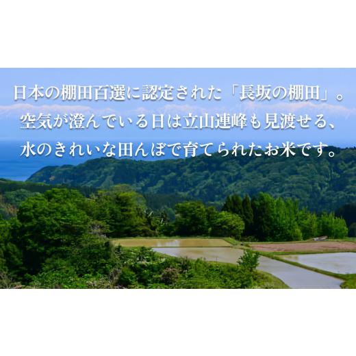 ふるさと納税 富山県 氷見市 令和5年産 富山県産 コシヒカリ 長坂の棚田米 4kg （玄米） ＜9月末以降順次発送＞ 富山県 氷見市 こしひかり 棚田