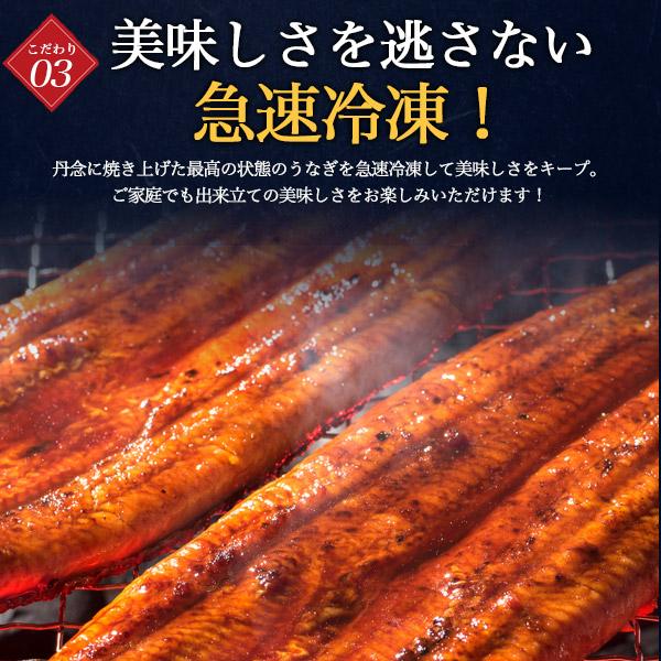 国産 うなぎ 120〜130g 2尾 国産 冷凍便 かば焼き 蒲焼 鰻 うなぎ ウナギ うなぎ蒲焼 化粧箱入り お歳暮